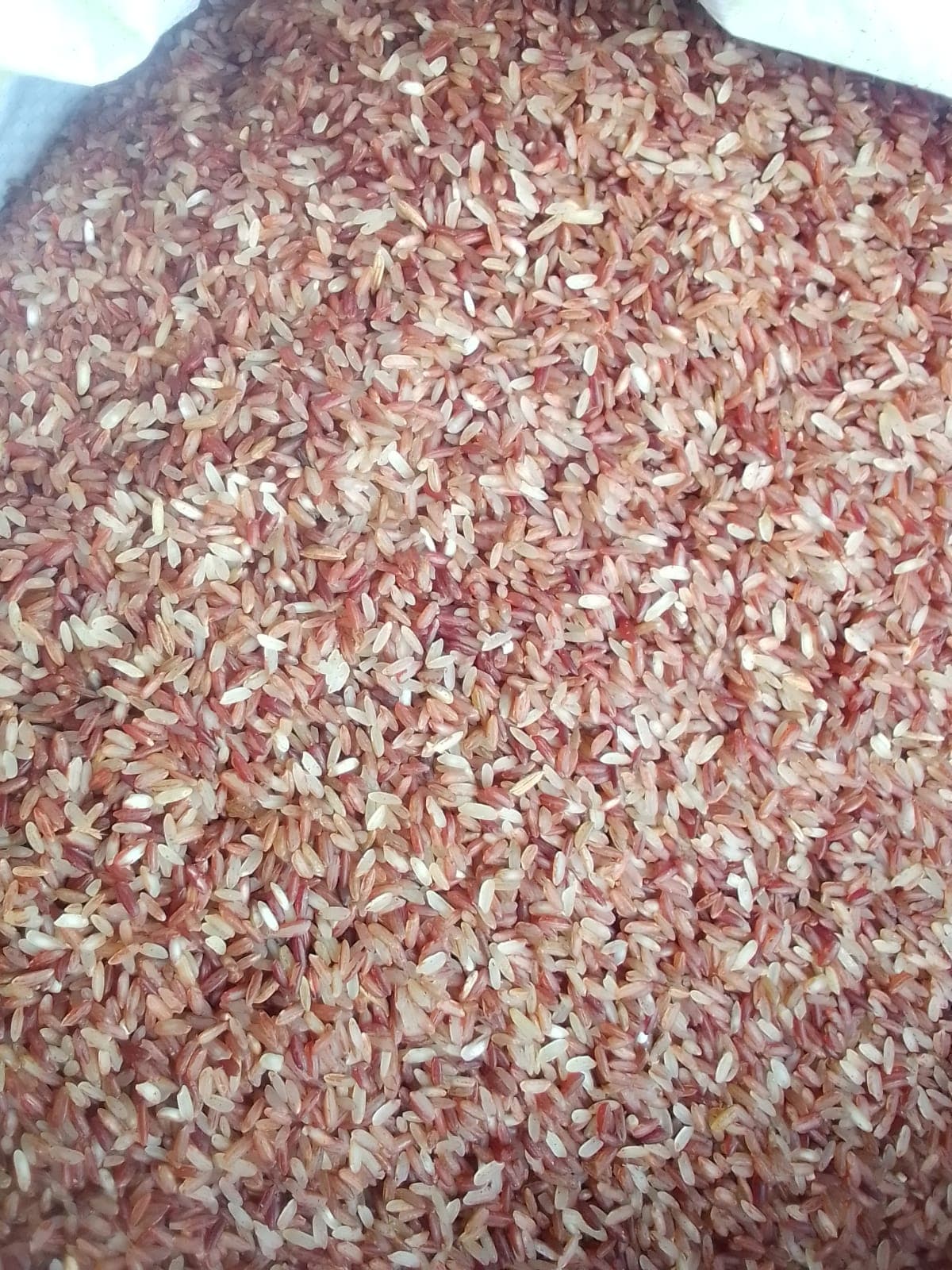 Natural Brown Rice (Biroi) Half Fiber -10 kg (বিরই লাল চাল হাফ ফাইবার)