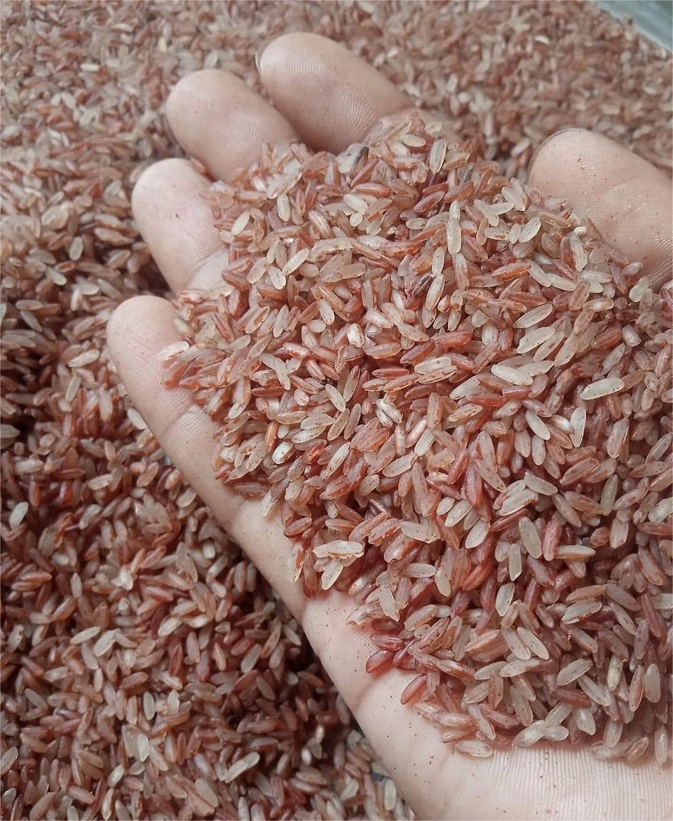 Natural Brown Rice (Ganjia) Half Fiber -10 kg (গাঞ্জিয়া লাল চাল হাফ ফাইবার)