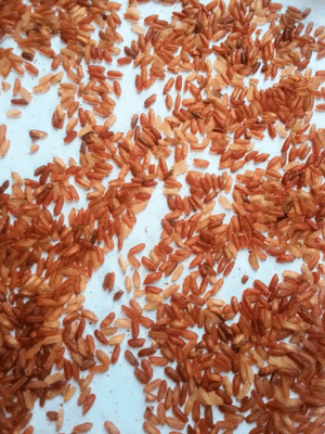 Natural Brown Rice (Biroi) Half Fiber -10 kg (বিরই লাল চাল হাফ ফাইবার)