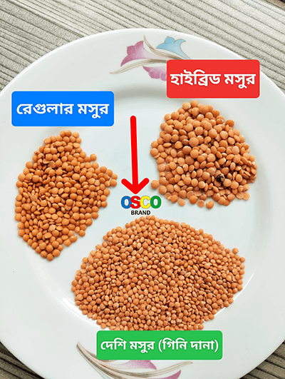 Masoor Dal Gini dana (মসুর ডাল গিনি দানা)-1 kg OSCO Brand