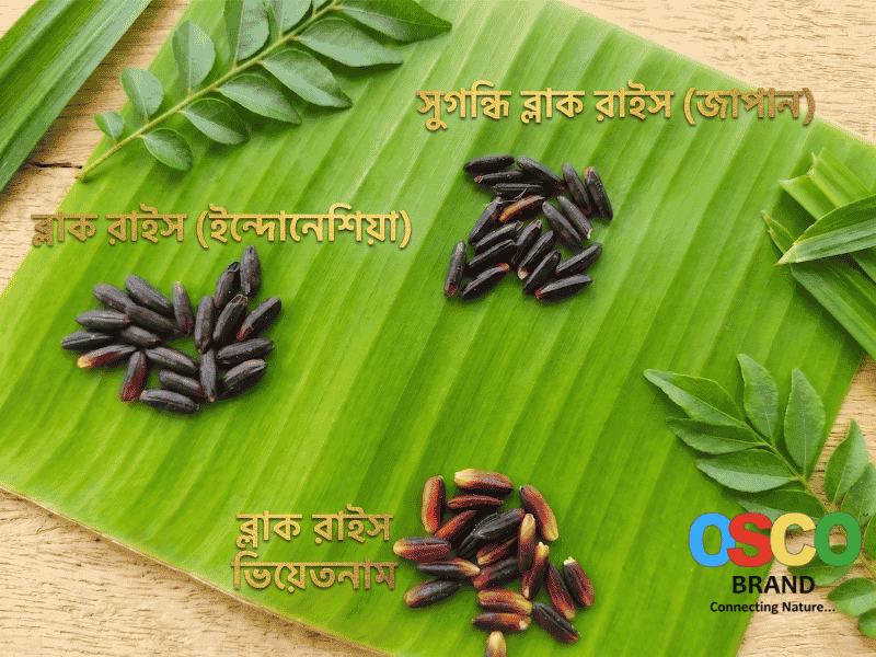 Aromatic Black Rice-Japan (সুগন্ধি কালো চাল জাপান)-1 kg OSCO Brand