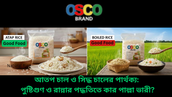 আতপ চাল ও সিদ্ধ চালের পার্থক্য: পুষ্টিগুণ ও রান্নার পদ্ধতিতে কার পাল্লা ভারী?