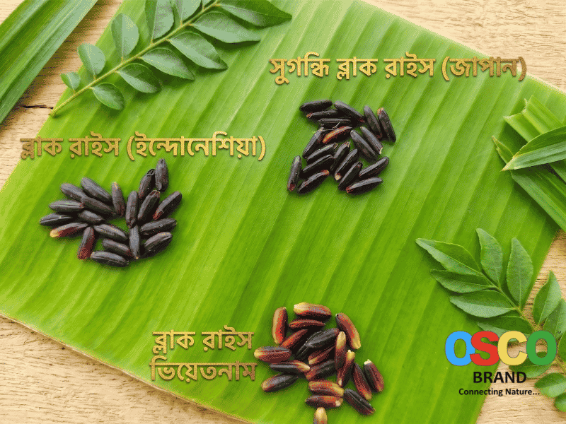 Aromatic Black Rice-Japan (সুগন্ধি কালো চাল জাপান)-1 kg OSCO Brand